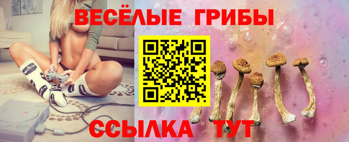 Галлюциногенные грибы мухоморы  Вход с VPN  Прокопьевск 